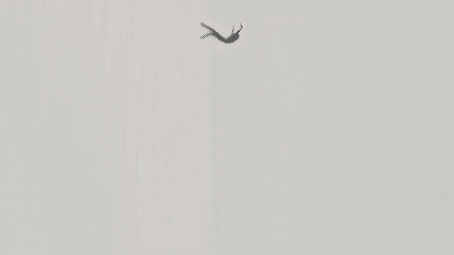 VOID-low VOID-low